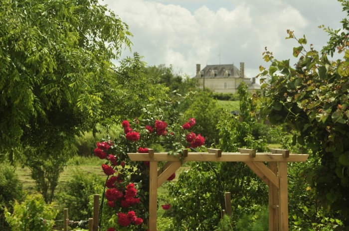 Parc d'un château