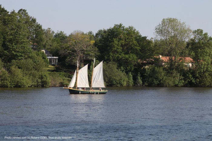 La Loire proche de nantes