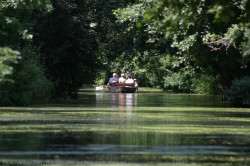 Réductions sur promenade en barque Marais Poitevin