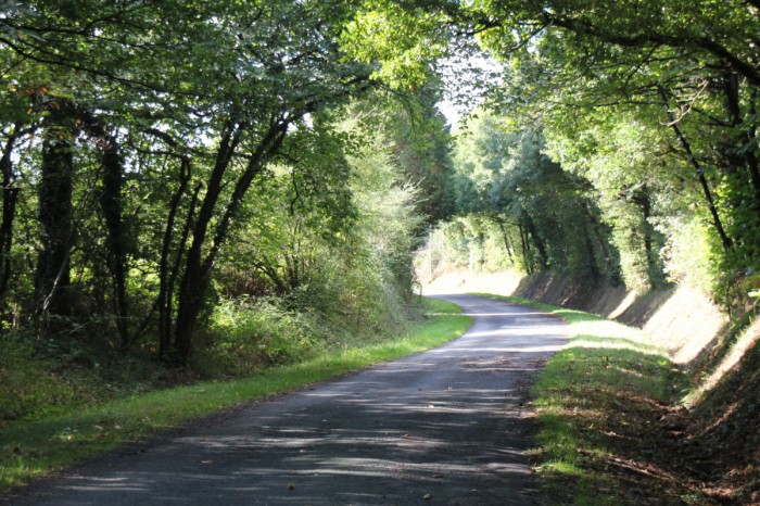 De magnifiques petits chemin à découvrir à vélo en vendée