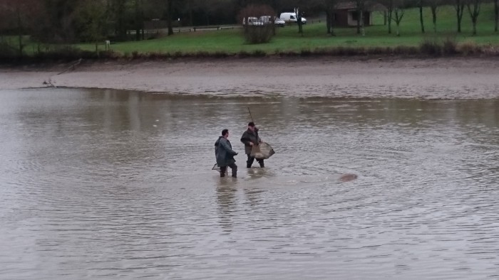 Récupération des poissons pour le pointage