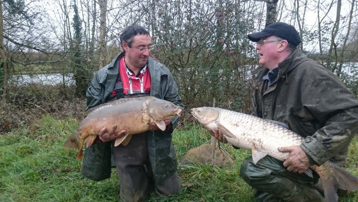 deux poissons qui se parlent 