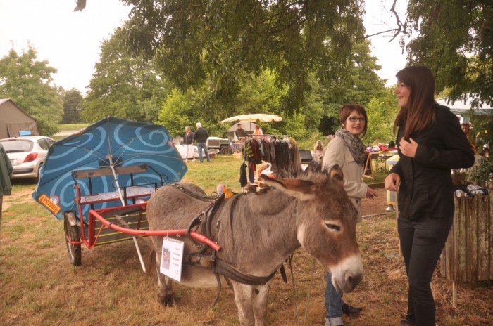 balade à dos d'ane au camping 3 étoiles en Vendée