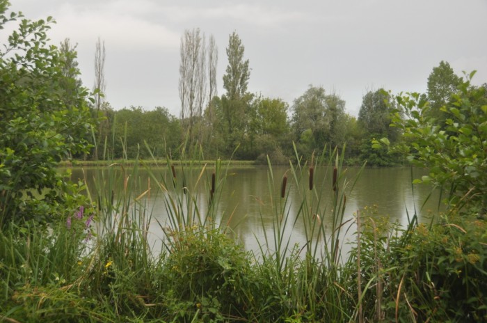 étang de pêche du camping aux meilleurs tarifs