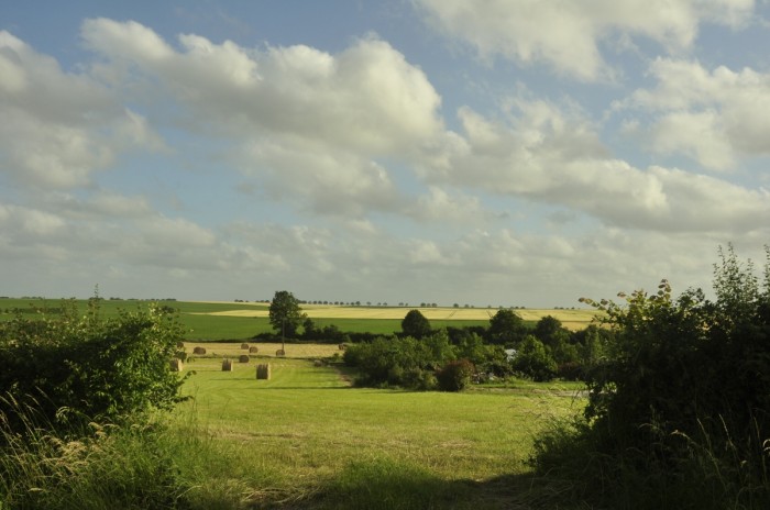 La nature à l'honneur au camping en Vendée