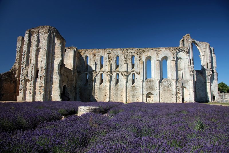 Vestiges Abbaye de Maillezais proche du camping