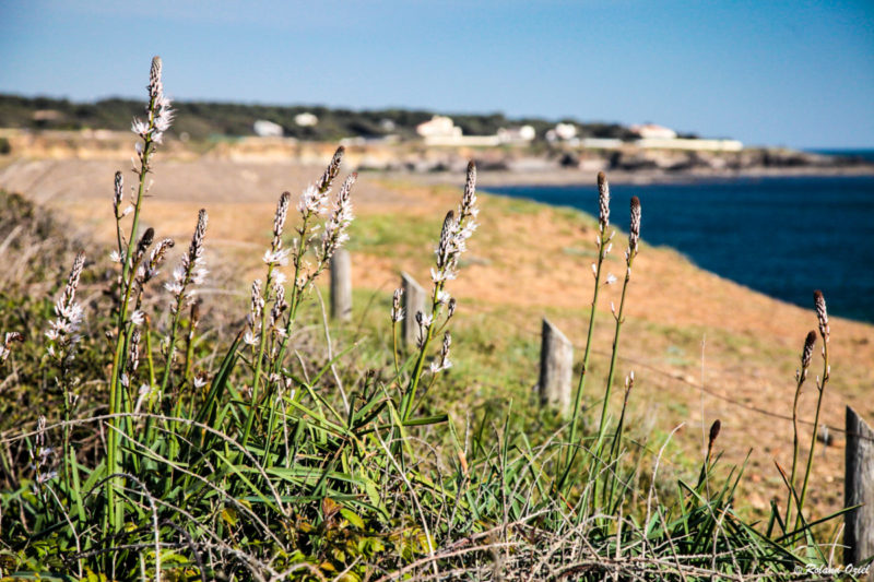 La Baie de Cayola aux Sables d'Olonne