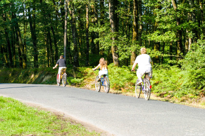 Balade à vélo dans la forêt de Mervent au long des pistes cyclables