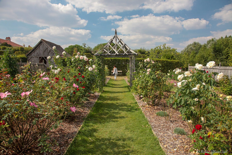 Roseraie des Jardins de William Christie