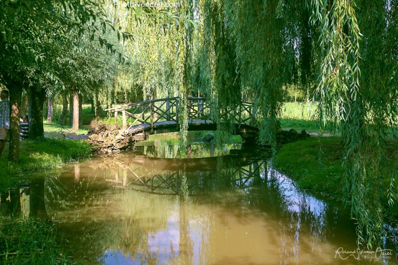 Fontaines et petits étangs camping proche des jardins de william christie