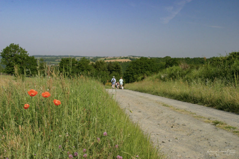 La campagne à chantonnay à proximité du camping des Rulières ouvert à l'année