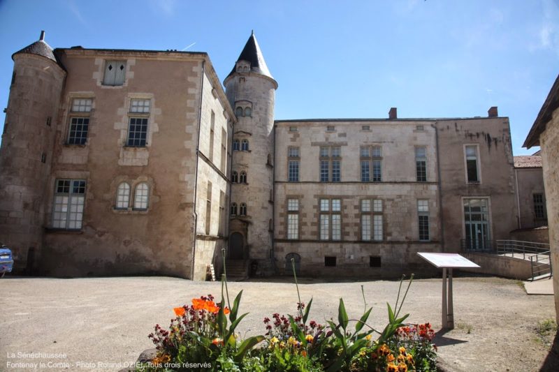 Les Rulières un camping proche de Fontenay le comte pour visiter la Sénéchaussée