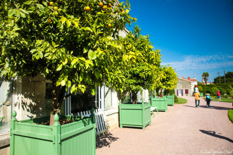 Jardin Dumaine à Luçon 