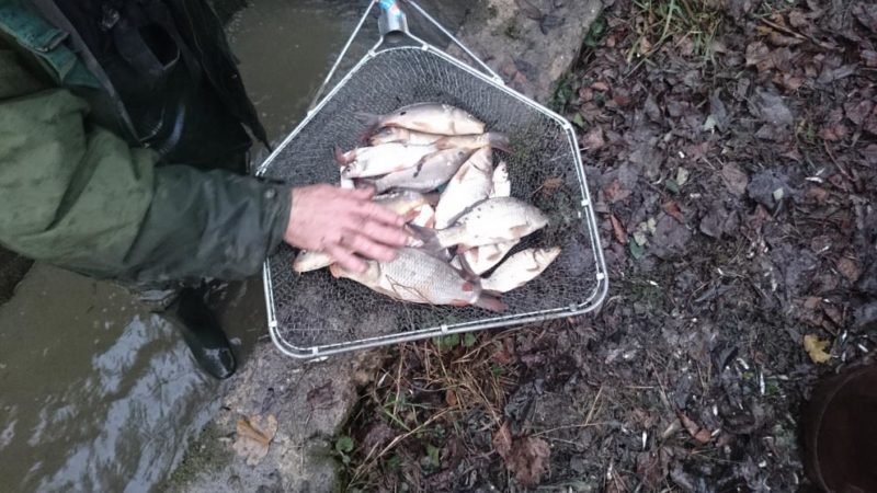 Camping avec pêche en étang privé